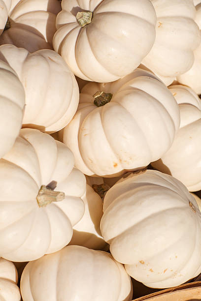 The pile is of small bright pumpkins. The pile is of small bright pumpkins. Fresh vegetables are in the wooden basket on the stall.  tivoli bazaar stock pictures, royalty-free photos & images