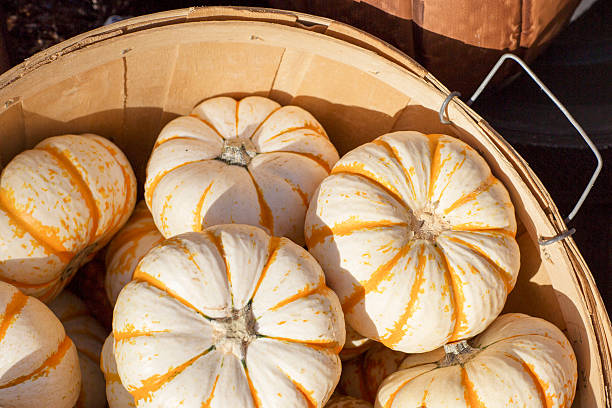 The pile is of small bright pumpkins. The pile is of small bright pumpkins. Fresh vegetables are in the wooden basket on the stall.  tivoli bazaar stock pictures, royalty-free photos & images