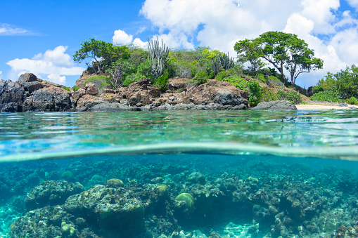 Fisheye over under revealing native vegetation and coral reef underwater at Tampico Beach on Caribbean island of Isla Culebra