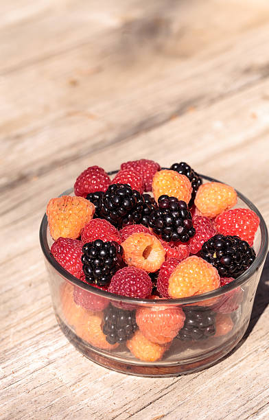 istock Organic golden and red raspberries mixed with blackberries 613327624