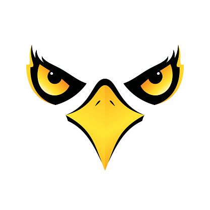 eagle head isolated concept design on white background for your designs vector icon eps10