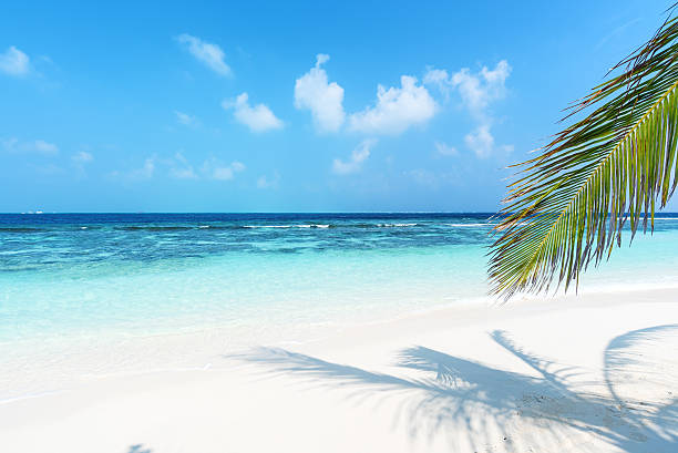 istock Dream tropical beach with sea view 613328308