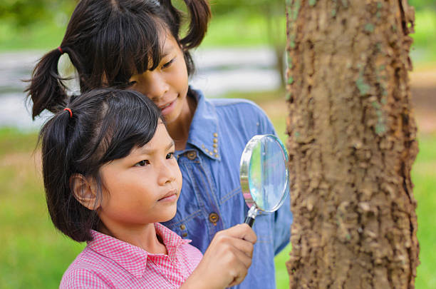 나무를 검사하는 어린 두 소녀 - low scale magnification magnifying glass glass child 뉴스 사진 이미지