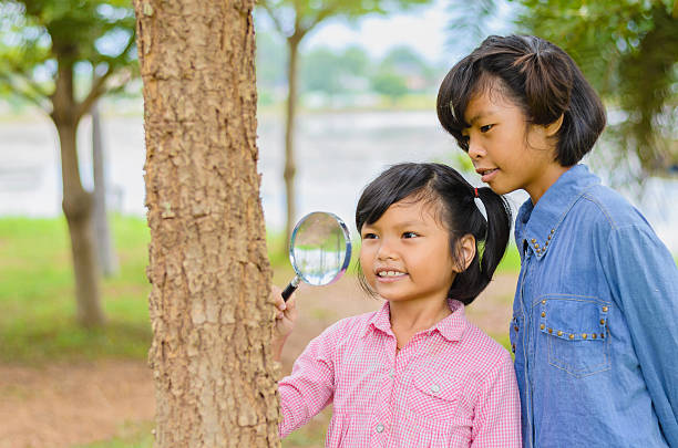istock Little two girl examining the tree stem 613329052