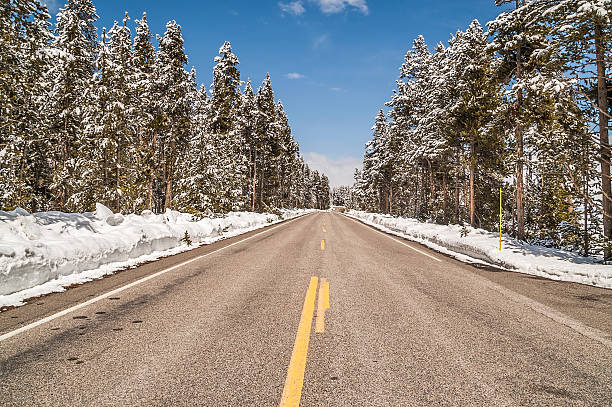 istock After the Snow Showers in Yellowstone 613329372