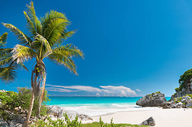 Tropical Beach, Carribean, Tulum, Mexico