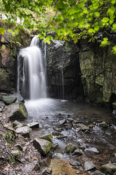 istock Beautiful waterfall in forest landscape long exposure flowing th 613332578