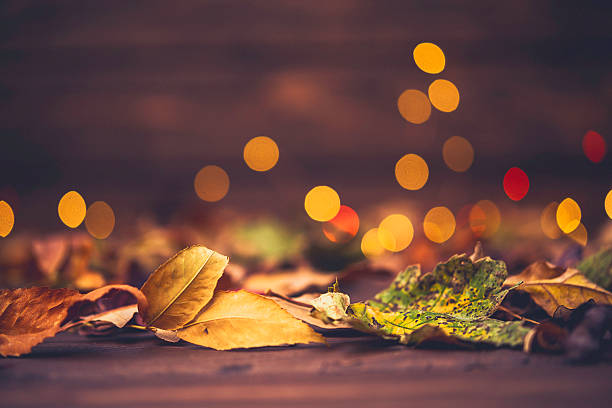 Fall background for Thankgiving with leaves and bokeh