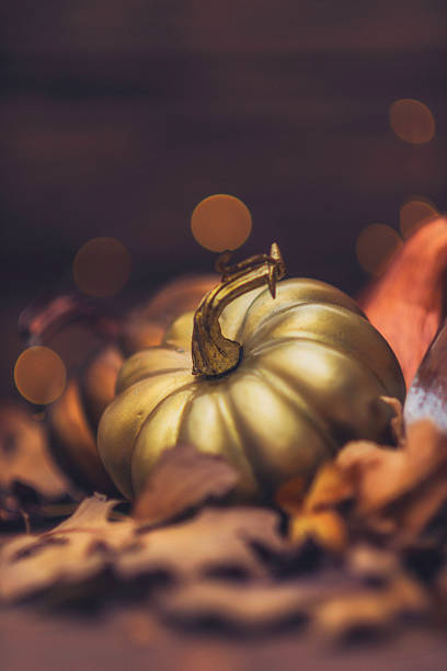 istock Fall still life luxe arrangement for Thanksgiving or Halloween 613333748