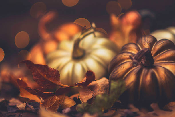 istock Fall still life luxe arrangement for Thanksgiving or Halloween 613333770