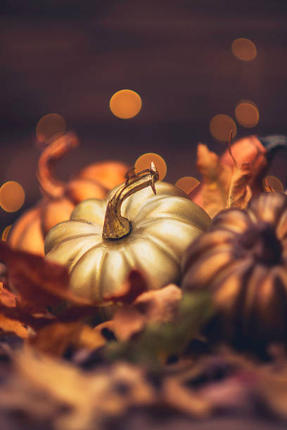 istock Fall still life luxe arrangement for Thanksgiving or Halloween 613333774