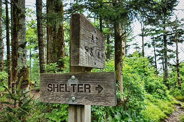 istock scenes along appalachian trail in great smoky mountains 613335618