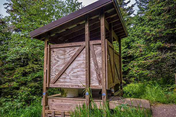 istock scenes along appalachian trail in great smoky mountains 613336268