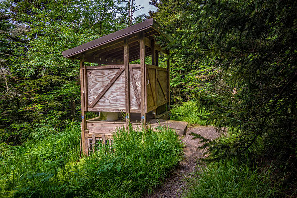 istock scenes along appalachian trail in great smoky mountains 613336558