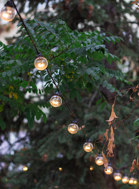 istock Decorative electric festoon of lighting bulbs hangs on tree branches 613336850