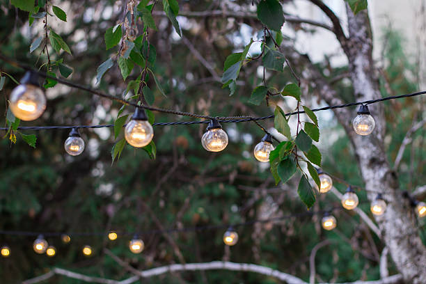istock Decorative electric festoon of lighting bulbs hanging on tree branches 613336894