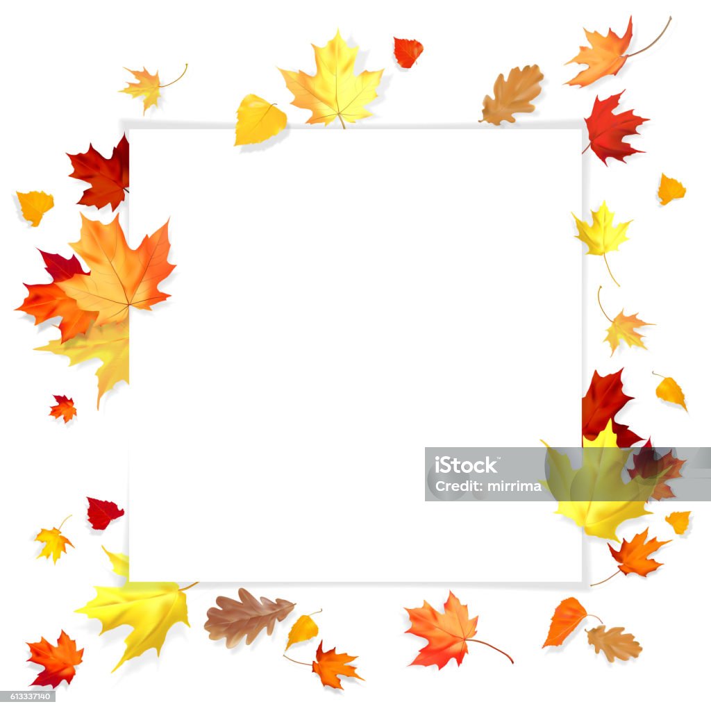 Fall Graphics White Background Fall Leaves On White Background Stock Illustration - Download Image Now ...