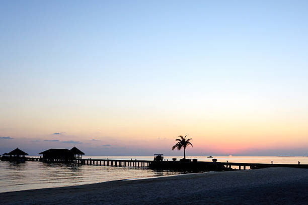 istock Island in ocean, Maldives. Sunset 613338204