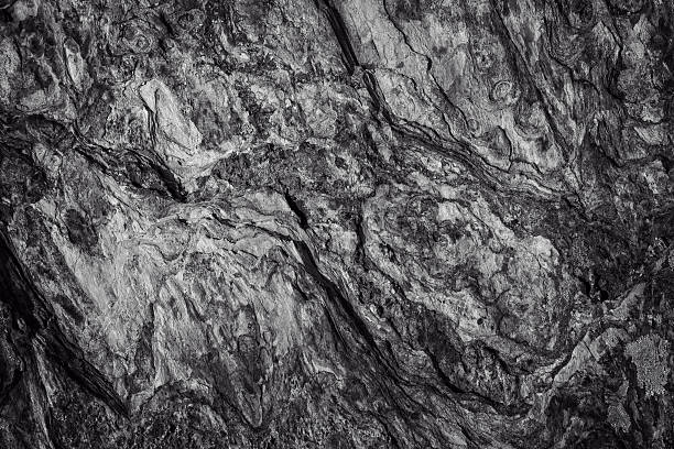 istock Surface of the rock in black and white 613339320