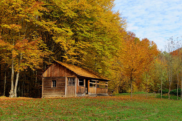 Beautiful wooden house during fall peak season in the mountains