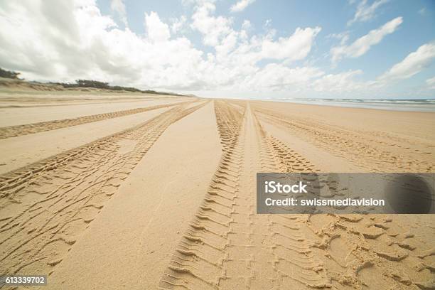 Four Wheel Drive Tracks In The Sand Stock Photo - Download Image Now - Beach, Sand, Driving