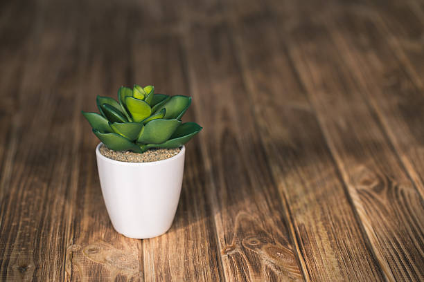 istock artificial small houseplant on a wooden background 613342428