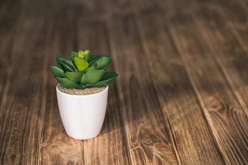 artificial small houseplant on a wooden background
