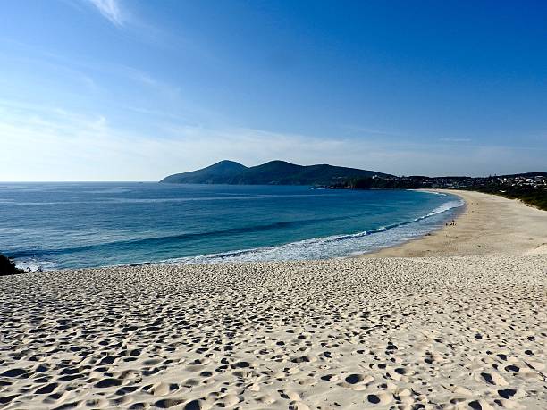 istock Sand dune and beach at Forster 613343126