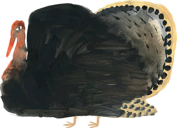 ilustrações, clipart, desenhos animados e ícones de pintura aquarela de pássaro de peru - turkey white background bird thanksgiving