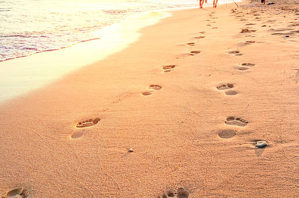 istock Beach, wave and footsteps in Greece, yellow sun 613347962