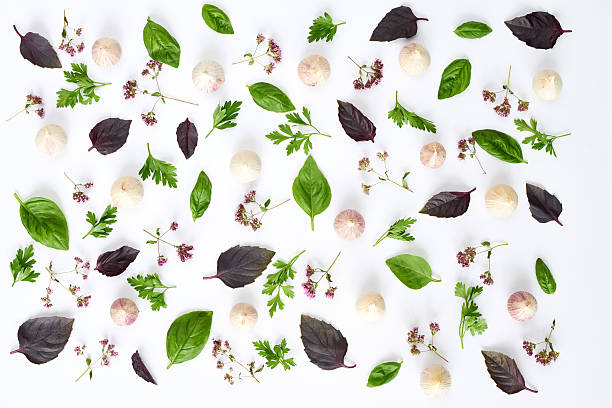 分解されたフードスタイリング - parsley herb leaf herbal medicine ストックフォトと画像