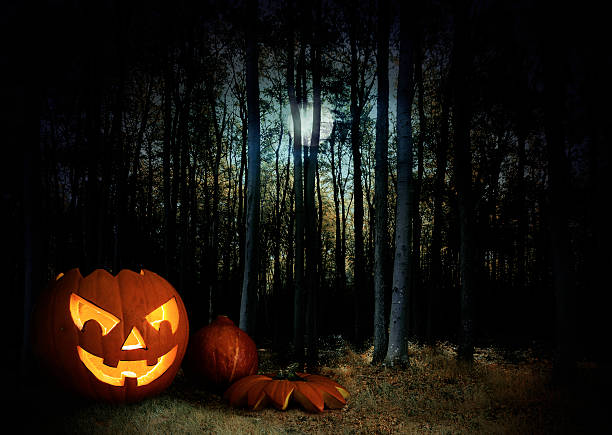 istock glowing pumpkin in a dark halloween forest under the moon 613517126