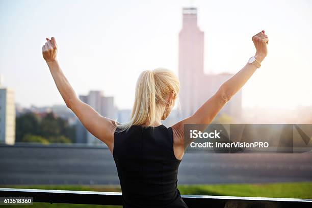 Successfull Woman Stock Photo - Download Image Now - Women, Adult, Blond Hair