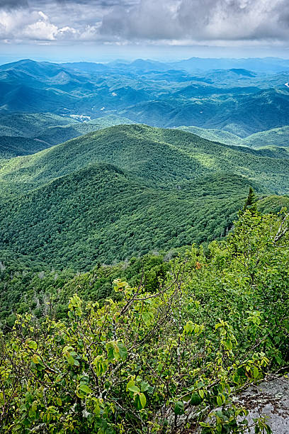 istock scenes along appalachian trail in great smoky mountains 613519068