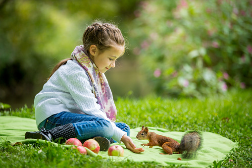 Little beautiful girl sitting on green lawn and feeding squirrel with nuts. Sweet, happy child on a grass in forest. Laughing, enjoying fresh air
