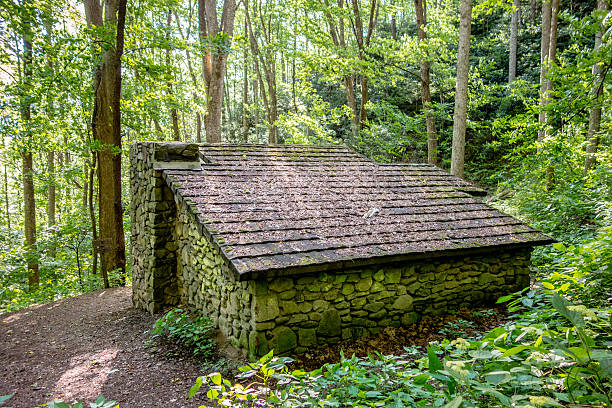 istock scenes along appalachian trail in great smoky mountains 613521534