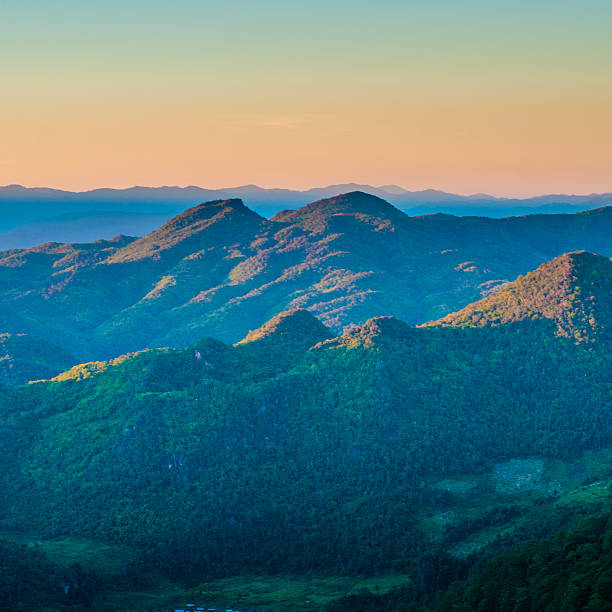 istock Panoramic view misty morning sunrise in mountain at north Thailand 613525820