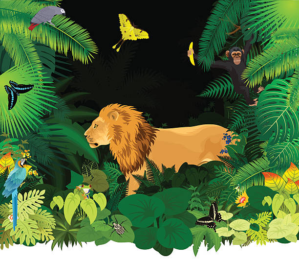 vector african rainforest jungle with lion and different animals vector african rainforest jungle with lion, parrots, monkey and different animals mountain lion tree stock illustrations