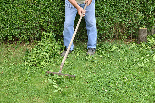 istock Raking Leaves on Lawn 613527614