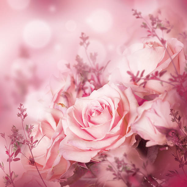 istock Beautiful roses and butterfly, 613529462