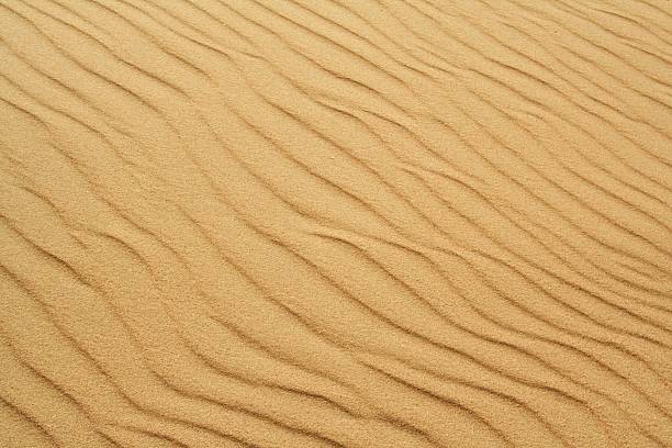 istock golden sand on the beach 12 613535350