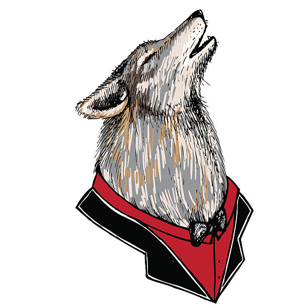 illustrations, cliparts, dessins animés et icônes de portrait d’un loup hurlant en smoking. - anti smoking