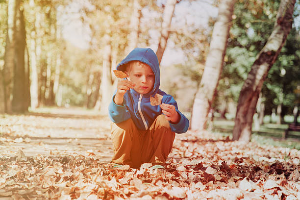 istock little boy looking at leaves in autumn fall 613540500