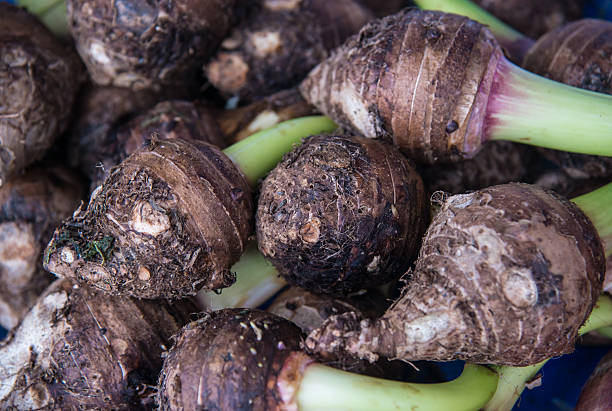 istock pile of taro root. 613542716