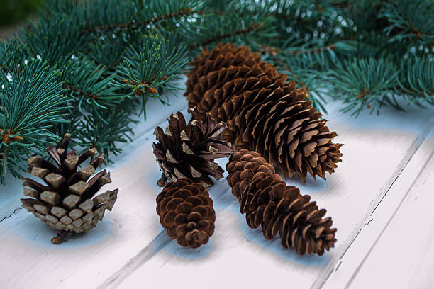 istock Christmas ornaments on old wooden table 613543654
