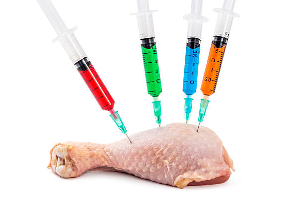 chicken leg gmo - injecting healthy eating laboratory dna imagens e fotografias de stock