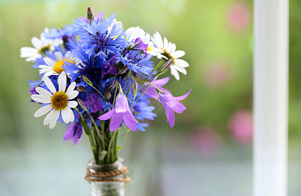 istock bouquet made of wildflowers on windowsill 613548562
