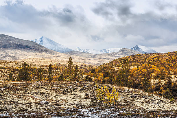 istock Autumn colors in the norwegian mountains. 613550226