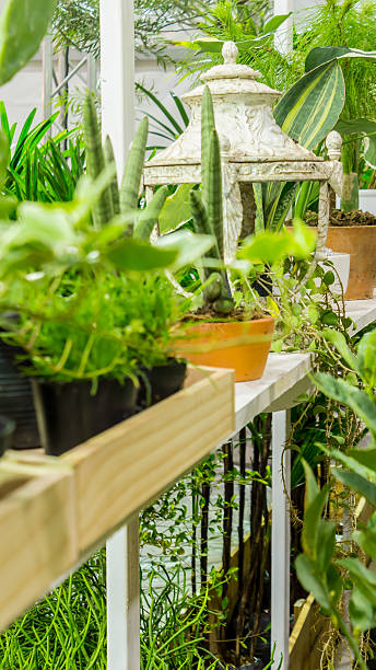 istock Relaxing area in cozy garden. 613553366