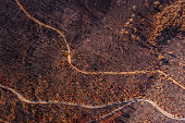 Scorched ground Monchique forests. View from sky.